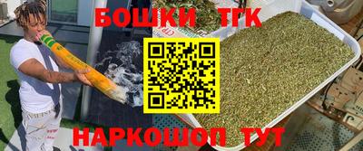 стаф Моздок