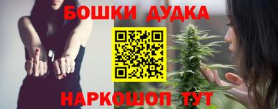 стаф Моздок