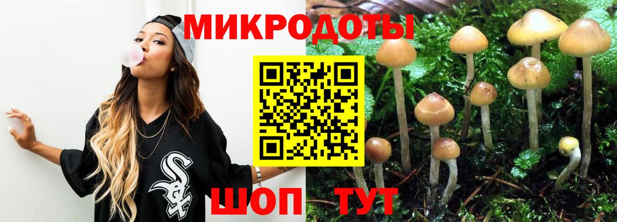 Псилоцибиновые грибы GOLDEN TEACHER Сунжа