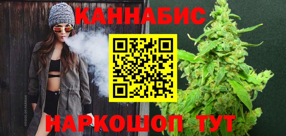 Шишки марихуана сатива Сунжа